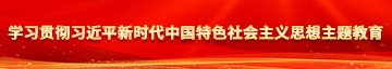 外网插逼猛片学习贯彻习近平新时代中国特色社会主义思想主题教育